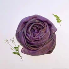 花葉移印染長絲巾 - 紫色羊蹄甲