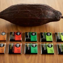 【聖誕禮物】臺灣茶五味薄片巧克力10入禮盒(兩盒優惠組)