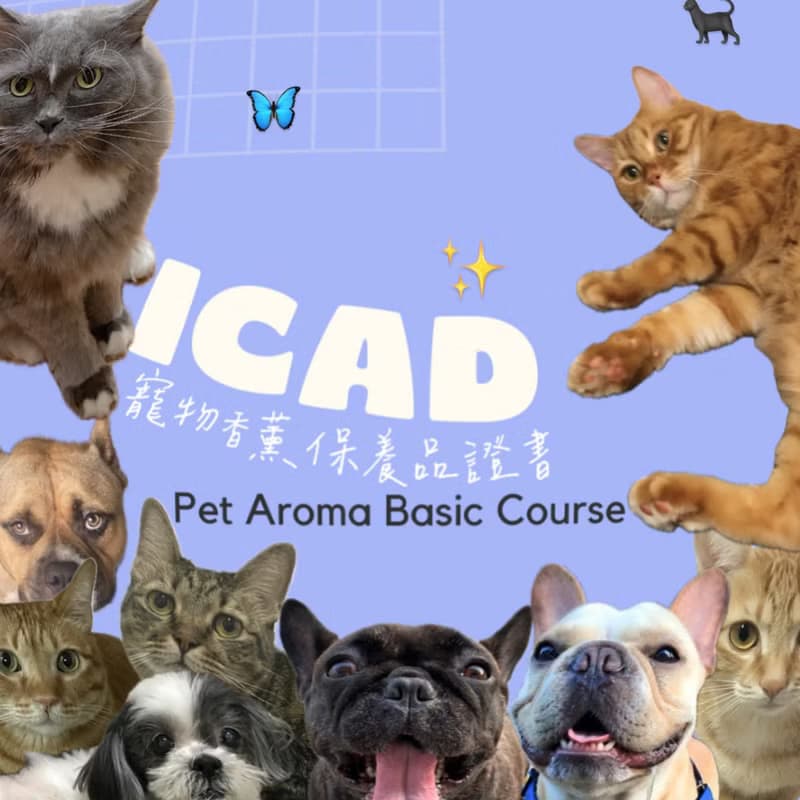 【體驗】ICAD寵物香薰保養品證書