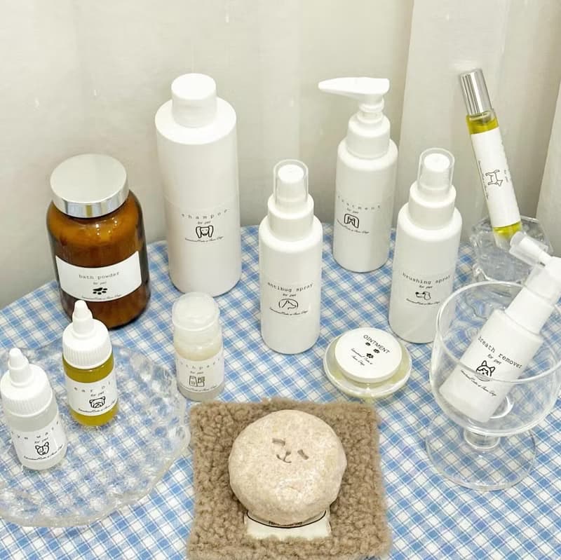 【體驗】ICAD寵物香薰保養品證書