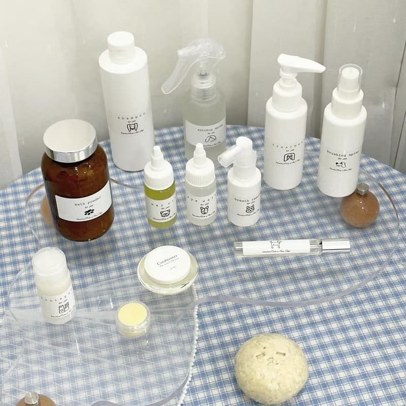 【體驗】ICAD寵物香薰保養品證書