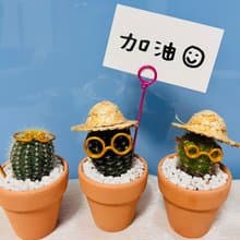 【快速出貨】 搞怪仙人掌先生系列 辦公室熱門小盆栽