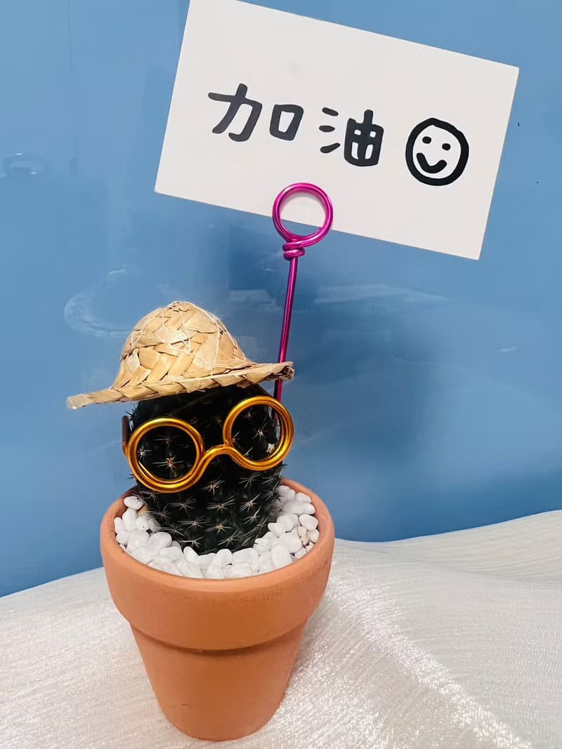 【快速出貨】 搞怪仙人掌先生系列 辦公室熱門小盆栽