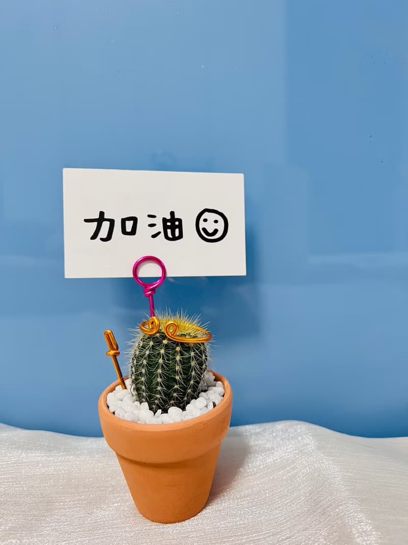 【快速出貨】 搞怪仙人掌先生系列 辦公室熱門小盆栽