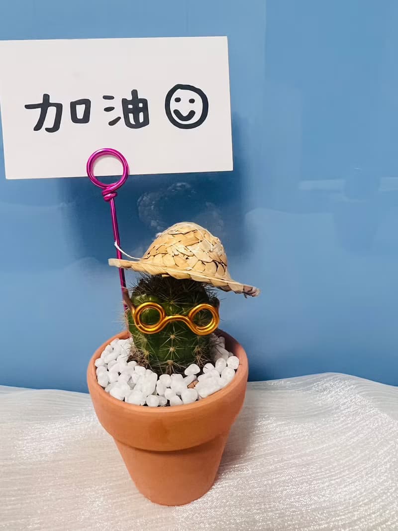 【快速出貨】 搞怪仙人掌先生系列 辦公室熱門小盆栽