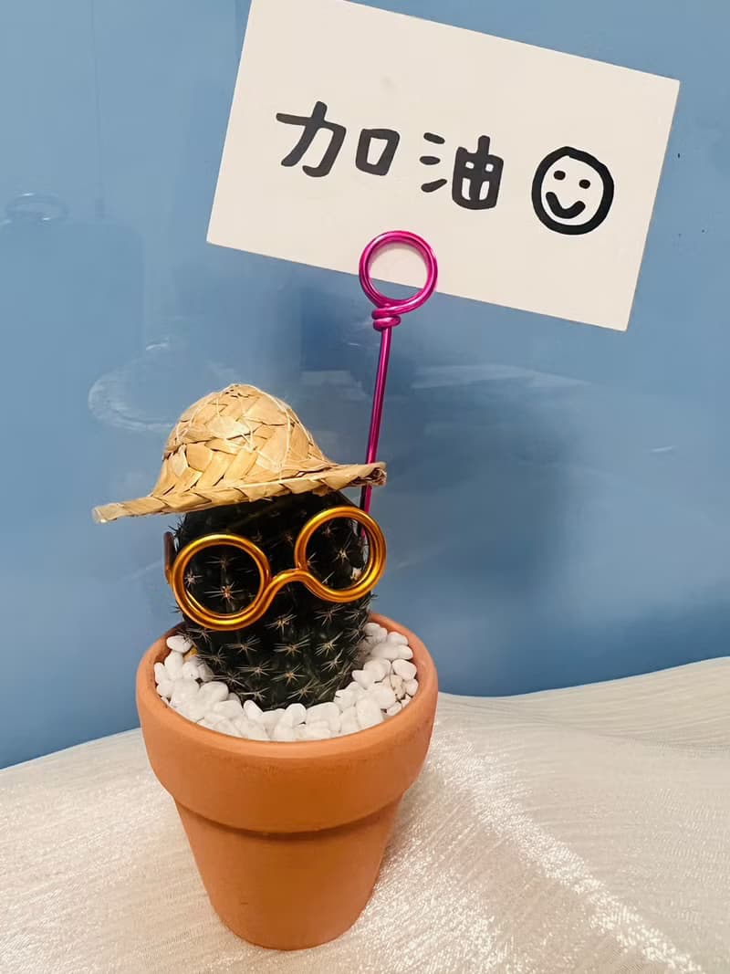 【快速出貨】 搞怪仙人掌先生系列 辦公室熱門小盆栽