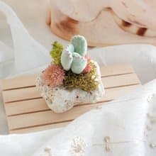 仿真黏土多肉 熊童子 小盆