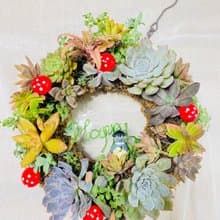 療癒多肉花圈 大26cm 升官喬遷 婚禮 生日 交換禮物