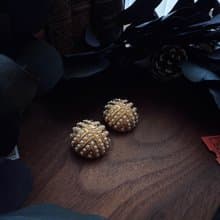 摩登優雅珍珠耳夾