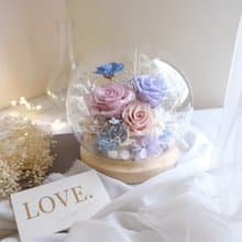 永生玫瑰/玻璃鐘罩/永生花/乾燥花/不凋花/紫藍色/情人節/結婚
