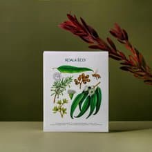 【限量款式】澳洲科菈 KOALA ECO 光潤有愛禮盒.沼澤茶樹