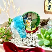 多肉組盆 多肉植物 日式枯山水 多啦A夢 大雄 小叮噹 植物盆栽