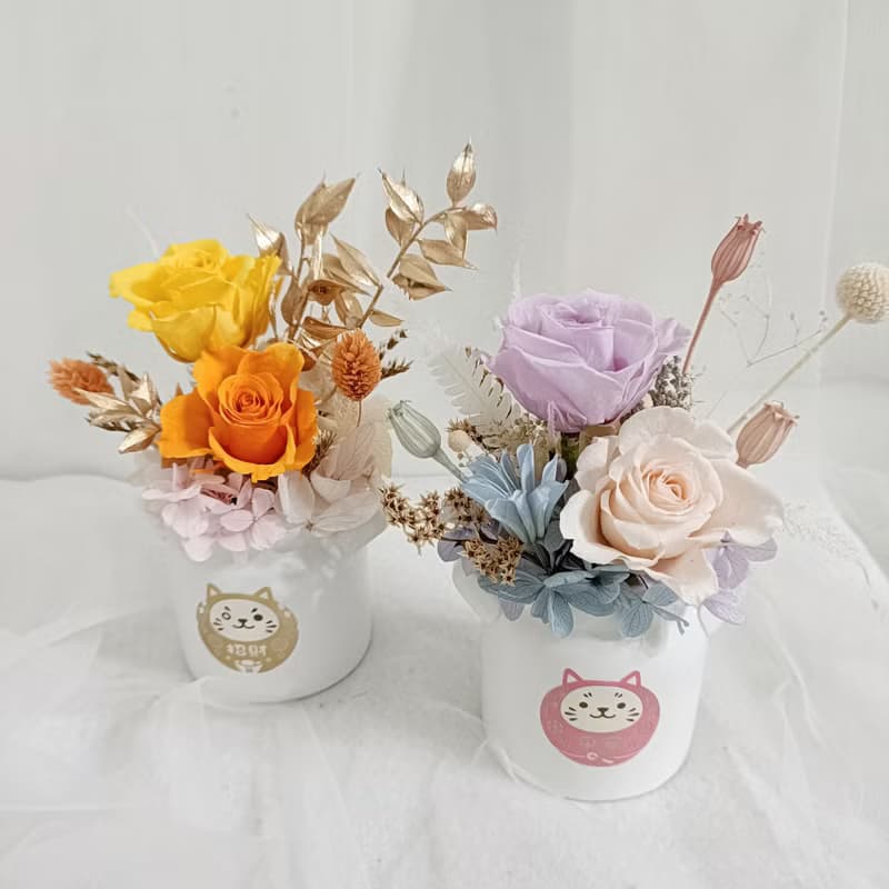 情人節禮物花束 520畢業花束索拉乾燥康乃馨|開幕開運招財生日