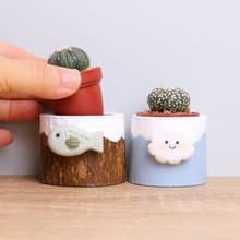 小魚雲兒 一吋多肉盆栽 附紙盒 | 婚禮生日聖誕畢業兒童離職禮物