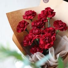 深紅康乃馨鮮花束 2025母親節