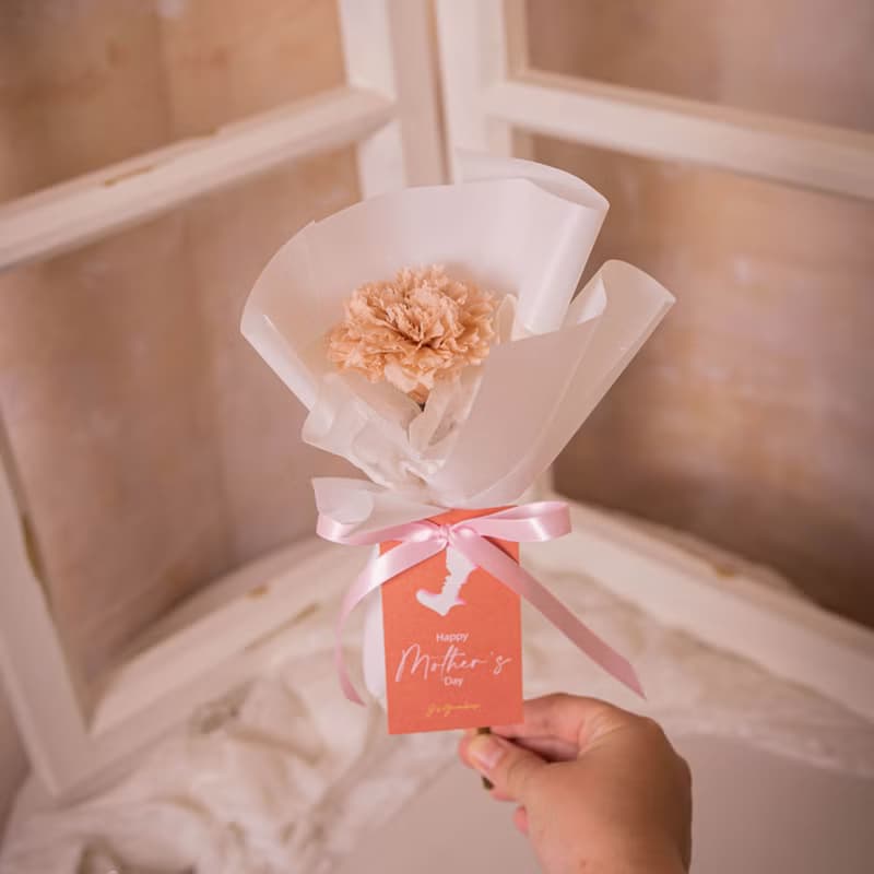 【日本康乃馨花束】單枝 母親節花束 永生花 乾燥花 / 共4款