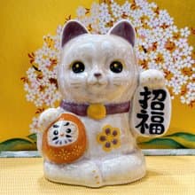 【杏色招福】日本清水燒招財貓 | 達摩 花結晶 - 杏 招福