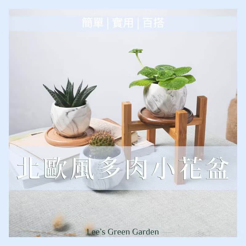 李的綠意花園 北歐風多肉小盆 小花盆 瓷盆 大理石紋 ins風 多肉