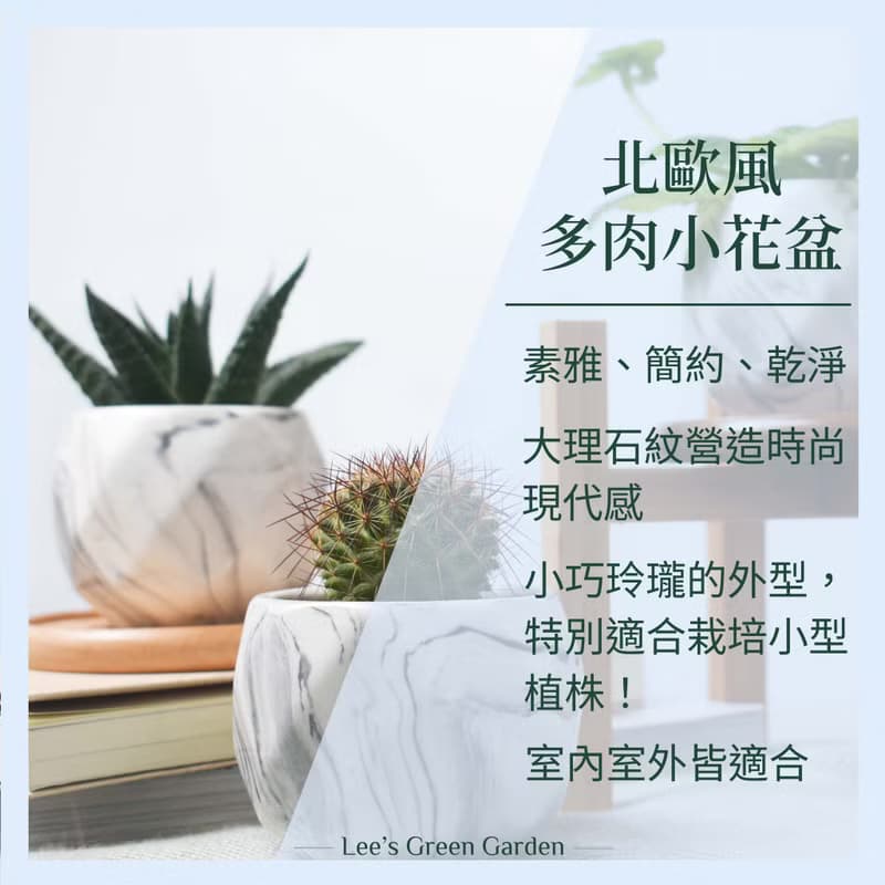 李的綠意花園 北歐風多肉小盆 小花盆 瓷盆 大理石紋 ins風 多肉