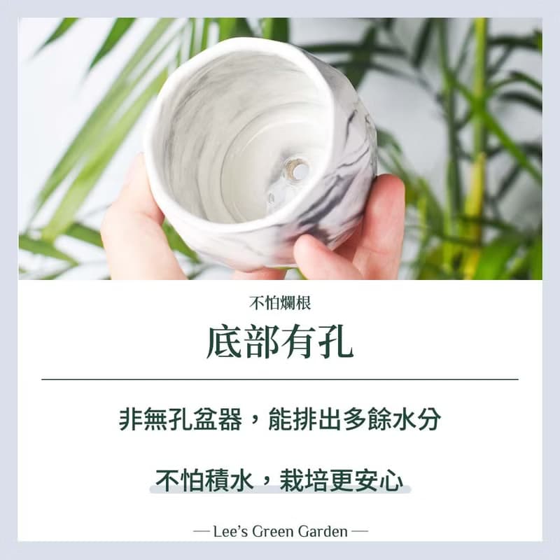 李的綠意花園 北歐風多肉小盆 小花盆 瓷盆 大理石紋 ins風 多肉