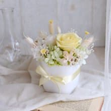 【小盆花】盆栽/粉黃/不凋花/永生花/乾燥花