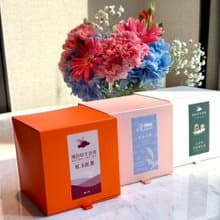 漫DAY生活茶—紅茶袋茶包掀蓋式禮盒-13入隨身包 日月潭紅茶