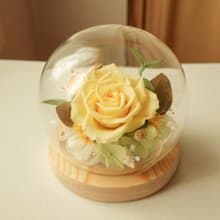 永生花玻璃盅-晨曦黃