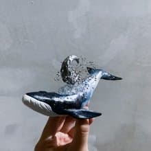 月光小島鯨魚