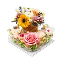 Yume永生花夢幻庭園系列 - 厄洛斯之花(一斥染)