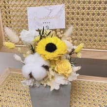 開幕花禮 永生盆花 升遷禮 新居禮 永生花 開幕盆花 祝賀禮