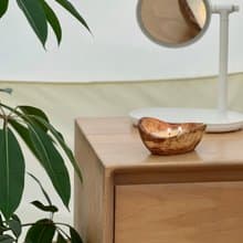 橄欖木私語香薰蠟燭 | 聖誕輕奢定製