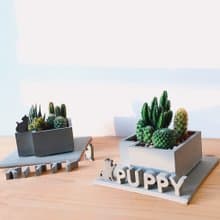 【動物派對庭院】迷你仙人掌造景DIY(迷你水泥字另外加購)