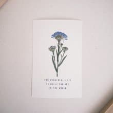 The Far Afield 美好人生押花明信片