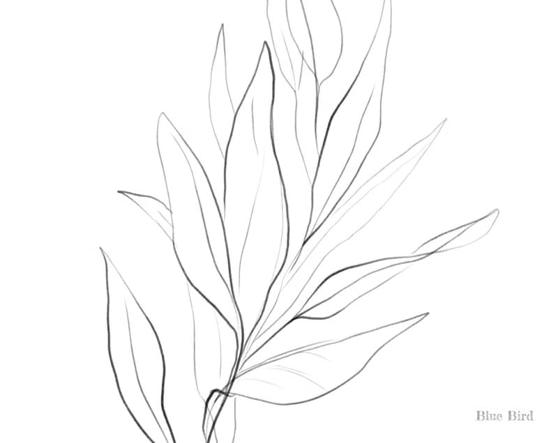 【數位】Garden clipart. Floral illustration digital