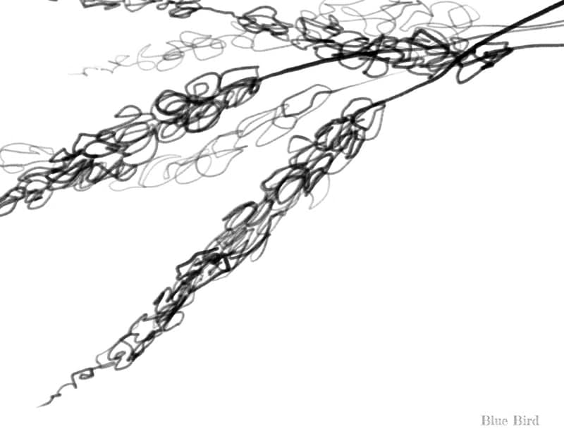 【數位】Garden clipart. Floral illustration digital