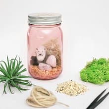 【讓我自己挑選】05復古透粉圓瓶 / 桌上型微造景盆栽 簡易版