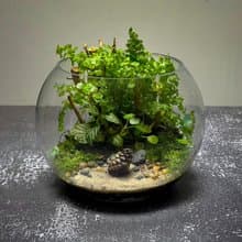 松籟傳喜/ 手作微景觀生態缸