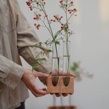 實木花器 透視茶葉存儲器皿 收納咖啡豆 水培玻璃管花插小擺件