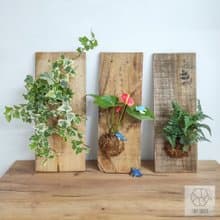 高雄鹽埕【綠上板】有溫度的卡片・手作生日禮物