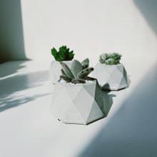 水泥鑽石盆-桌上型小盆栽 多肉/仙人掌