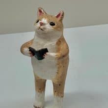 閱讀的貓