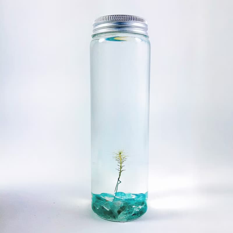 【烏蘇里水草】 綠東陵石裝飾款 長青療癒 辦公室送禮小物 免澆水