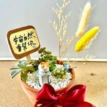 台中 多肉組盆 多肉植物 日式枯山水 微景觀 貓奴送禮 貓咪 生日