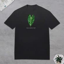 植物 觀音蓮 T恤 觀葉植物