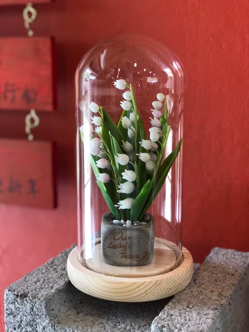 不老花藝/ 幸福鈴蘭小盆栽