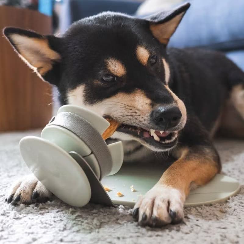 【Lunoji】 CHEWDEN 咬咬握組合-莫蘭迪綠-啃咬安全