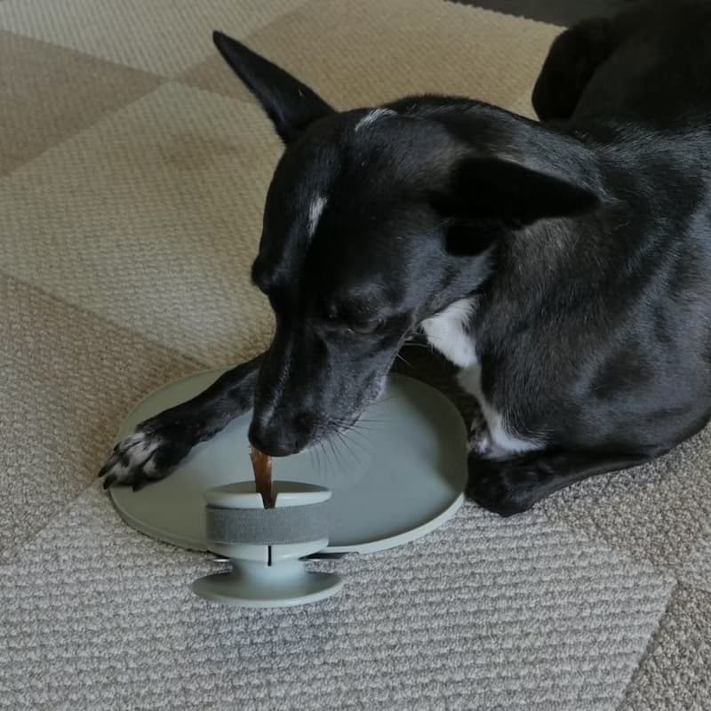 【Lunoji】 CHEWDEN 咬咬握組合-莫蘭迪綠-啃咬安全