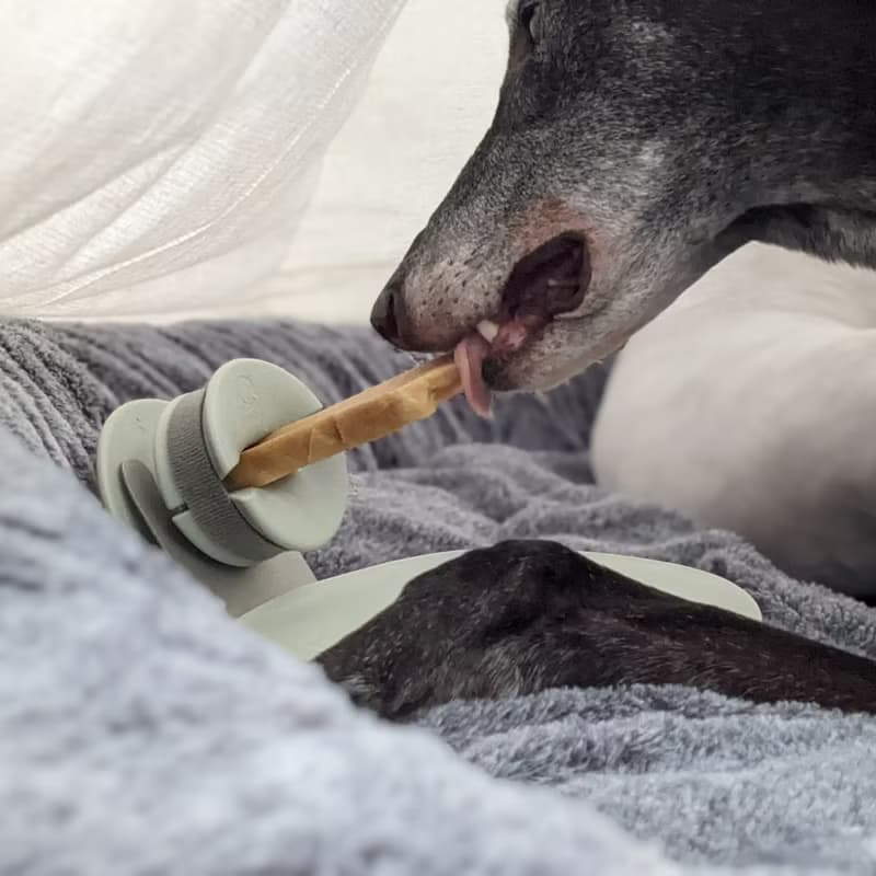 【Lunoji】 CHEWDEN 咬咬握組合-莫蘭迪綠-啃咬安全