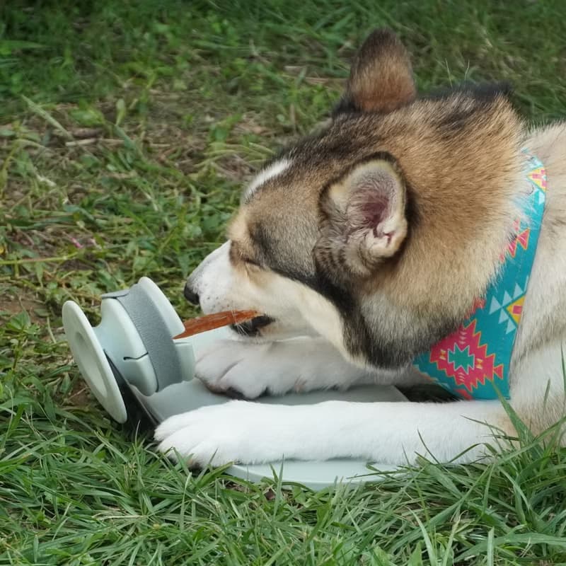 【Lunoji】 CHEWDEN 咬咬握組合-莫蘭迪綠-啃咬安全