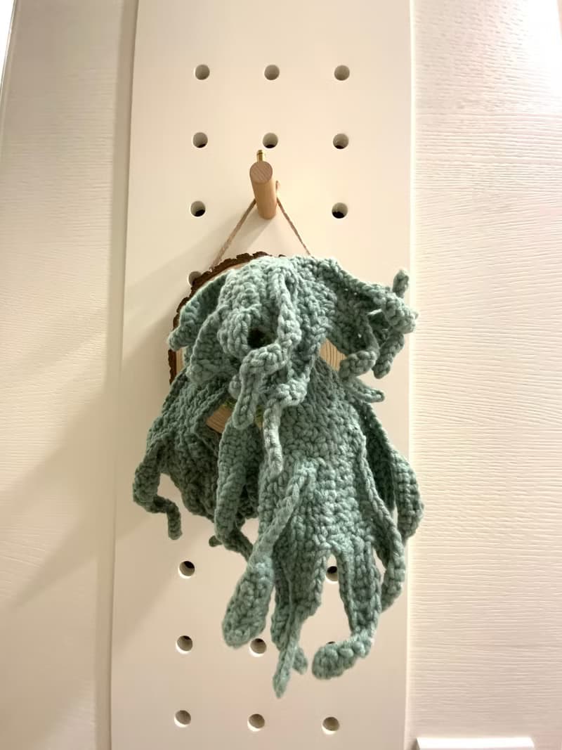 爪哇鹿角蕨板掛 針織手作